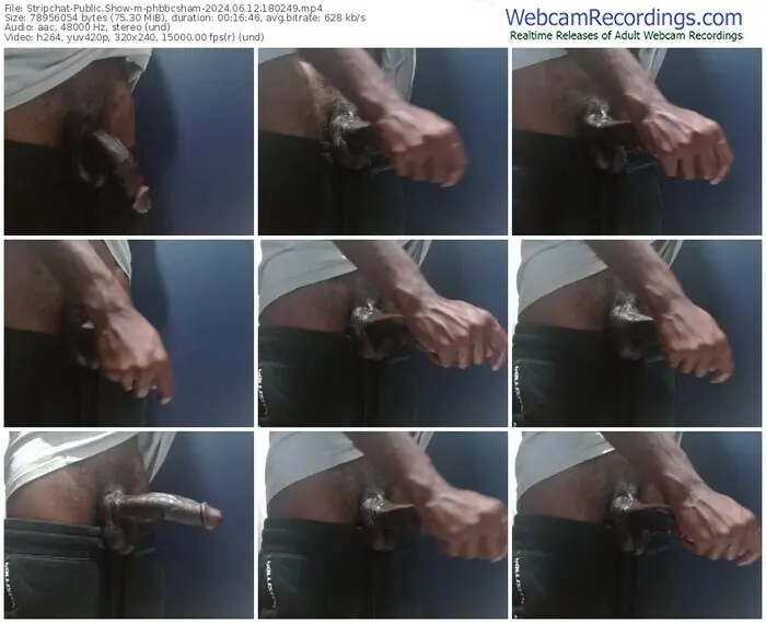 stripchat-phbbcsham-06-12-2024-18-02-49