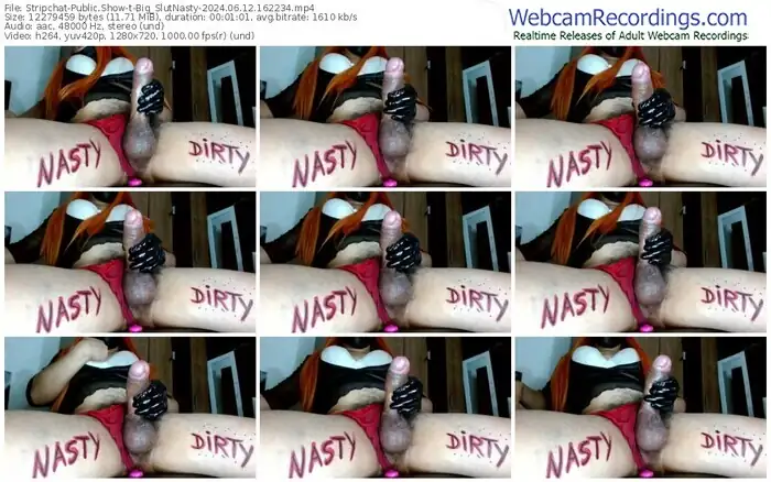 stripchat-big_slutnasty-06-12-2024-16-22-34