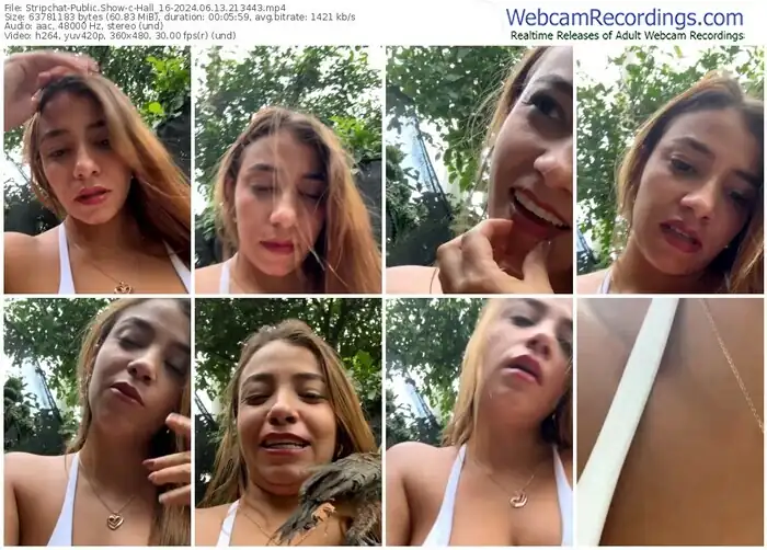 stripchat-hall_16-06-13-2024-21-34-43