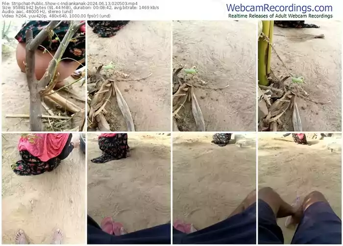 stripchat-indiankanak-06-13-2024-02-05-03