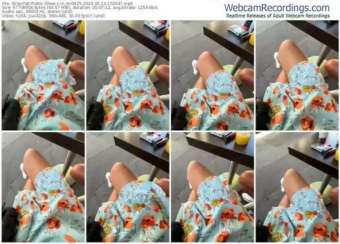 stripchat-in_mi0425-06-13-2024-10-26-47