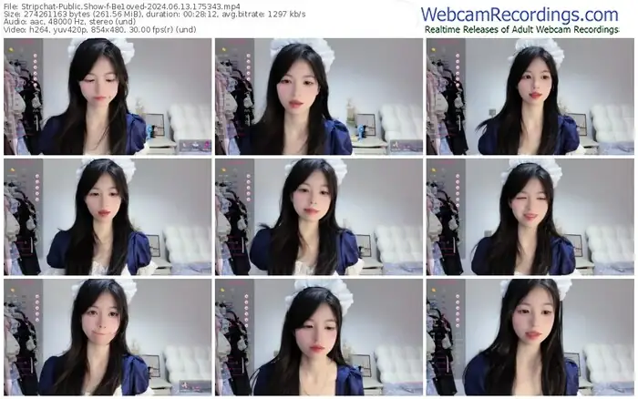 stripchat-be1oved-06-13-2024-17-53-43