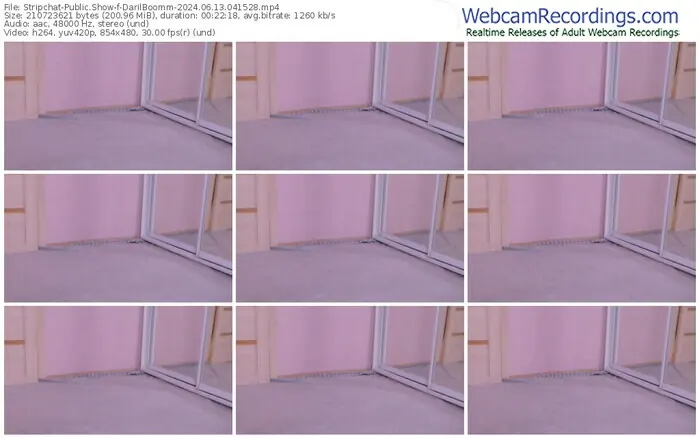 stripchat-darilboomm-06-13-2024-04-15-28