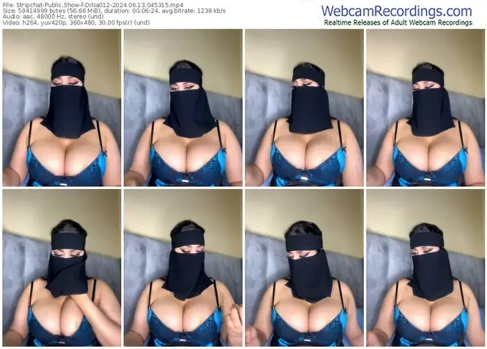 stripchat-dina012-06-13-2024-04-53-15