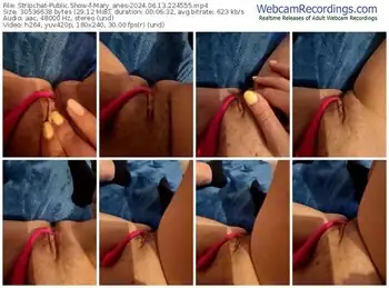 stripchat-mary_anes-06-13-2024-22-45-55