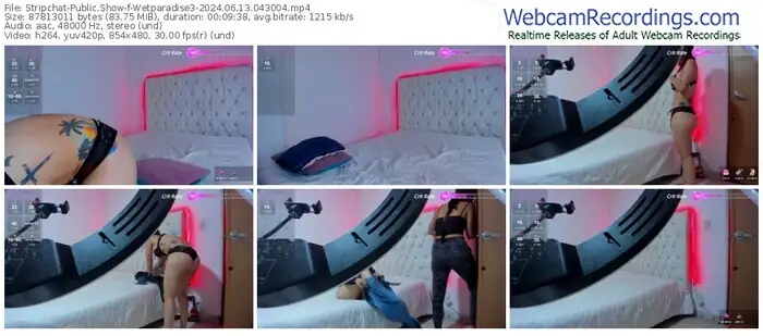 stripchat-wetparadise3-06-13-2024-04-30-04