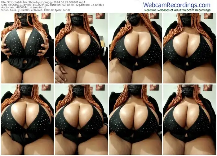 stripchat-yumpreggy-06-13-2024-00-09-01
