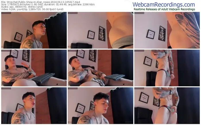 stripchat-alan_rosee-06-13-2024-16-56-17