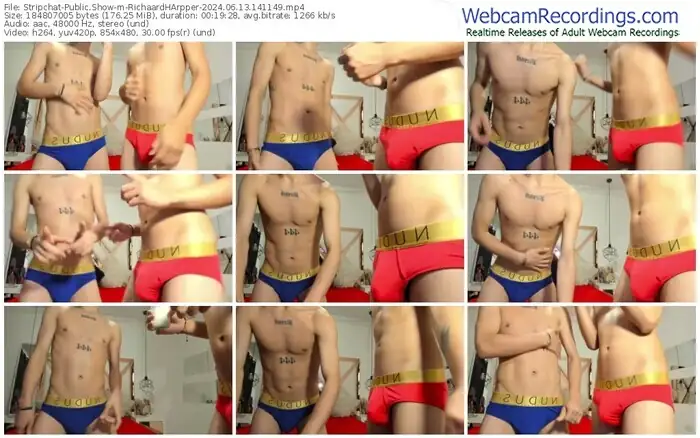 stripchat-richaardharpper-06-13-2024-14-11-49
