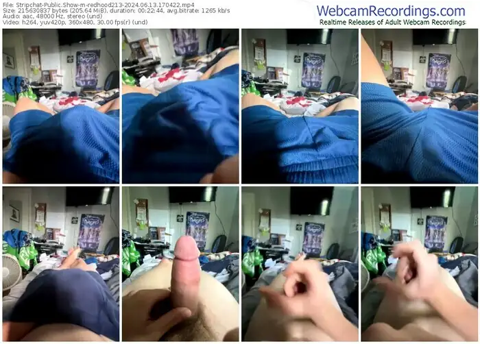 stripchat-redhood213-06-13-2024-17-04-22