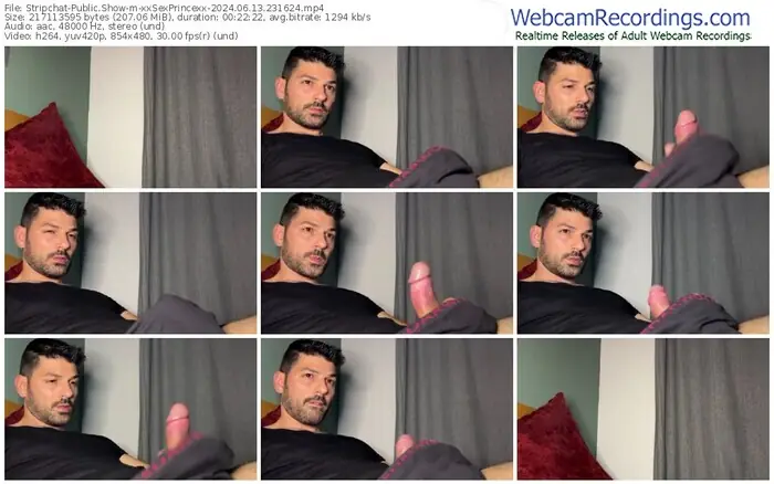 stripchat-xxsexprincexx-06-13-2024-23-16-24