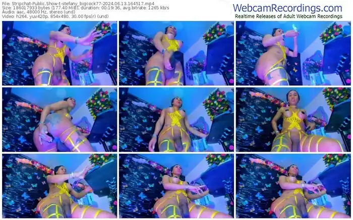 stripchat-stefany_bigcock77-06-13-2024-16-45-17