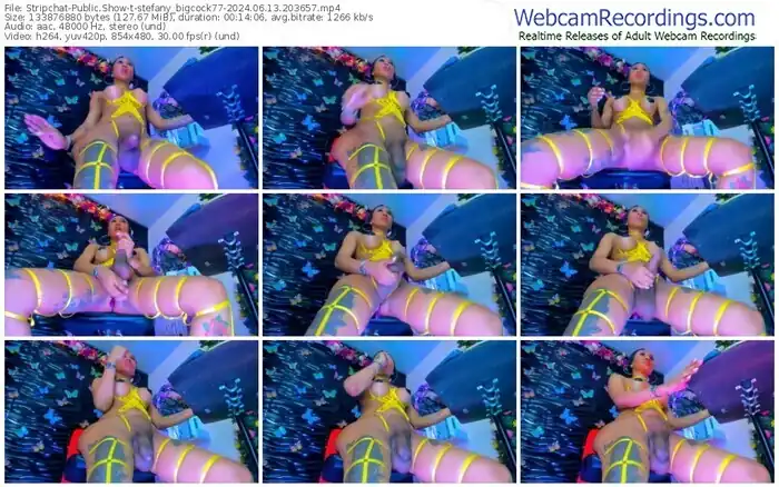 stripchat-stefany_bigcock77-06-13-2024-20-36-57