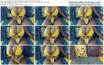 stripchat-boobartist-06-14-2024-20-15-42