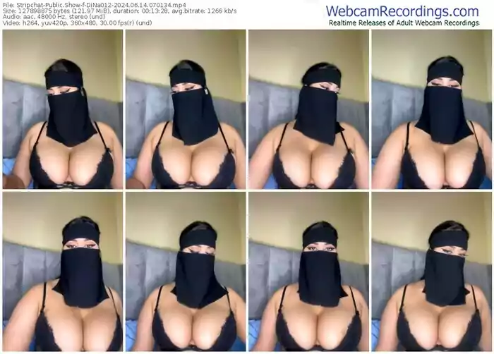 stripchat-dina012-06-14-2024-07-01-34