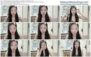 stripchat-ech0-7-06-14-2024-16-02-11