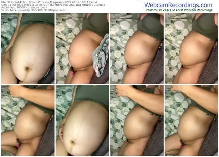 stripchat-princess_pregnancy-06-14-2024-16-51-13