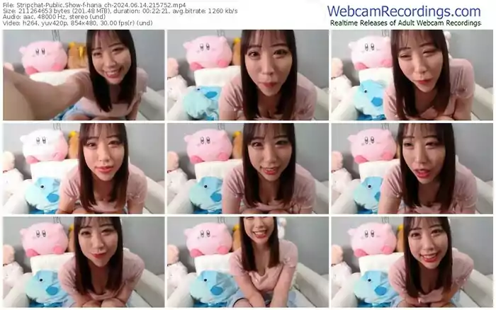 stripchat-hana_ch-06-14-2024-21-57-52