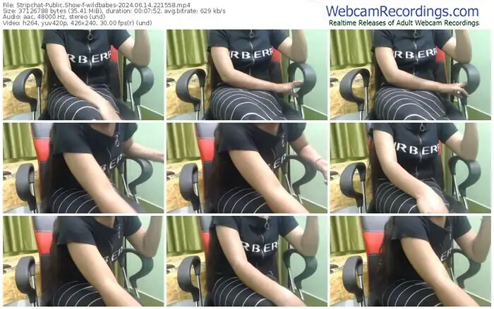 stripchat-wildbabes-06-14-2024-22-15-58