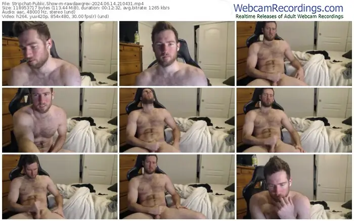 stripchat-rawdawgrex-06-14-2024-21-04-31