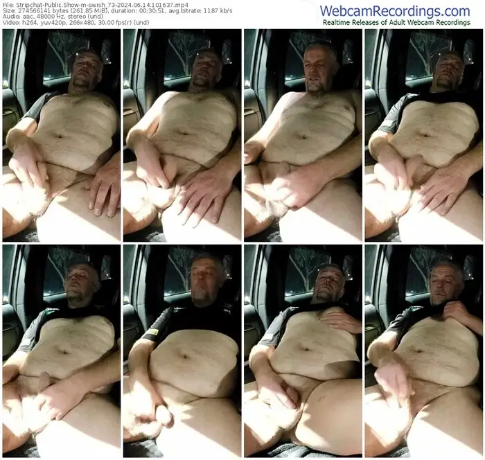 stripchat-swish_73-06-14-2024-10-16-37