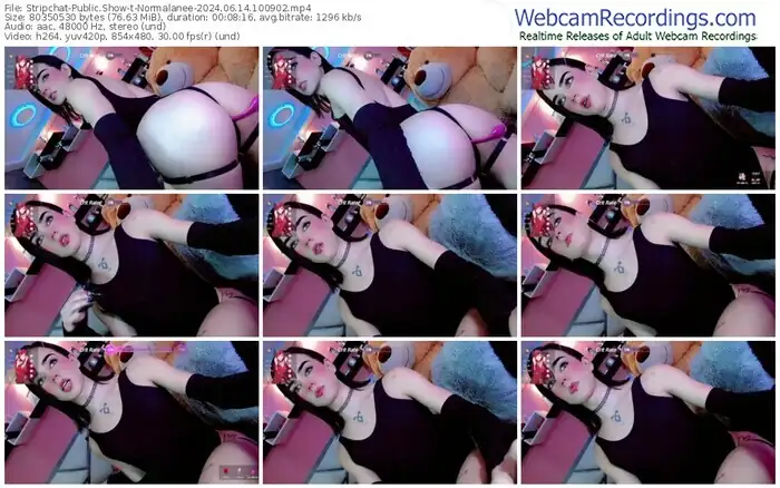 stripchat-normalanee-06-14-2024-10-09-02