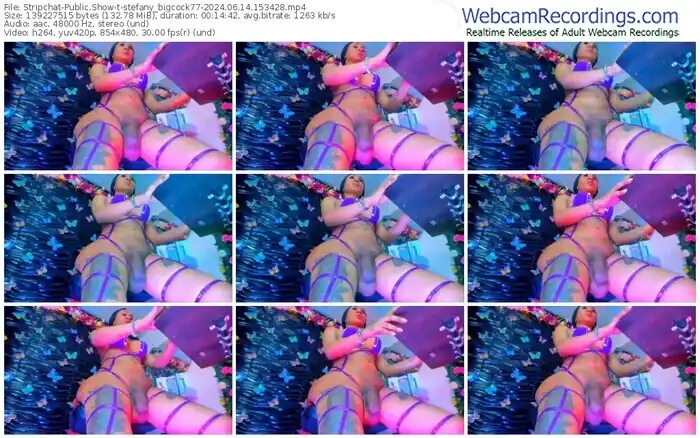 stripchat-stefany_bigcock77-06-14-2024-15-34-28