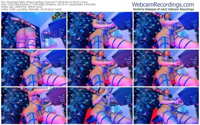 stripchat-stefany_bigcock77-06-14-2024-20-15-11