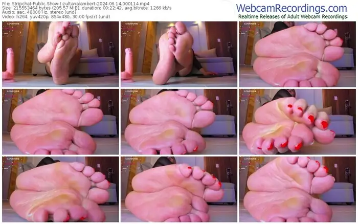 stripchat-zultanalambert-06-14-2024-00-01-14