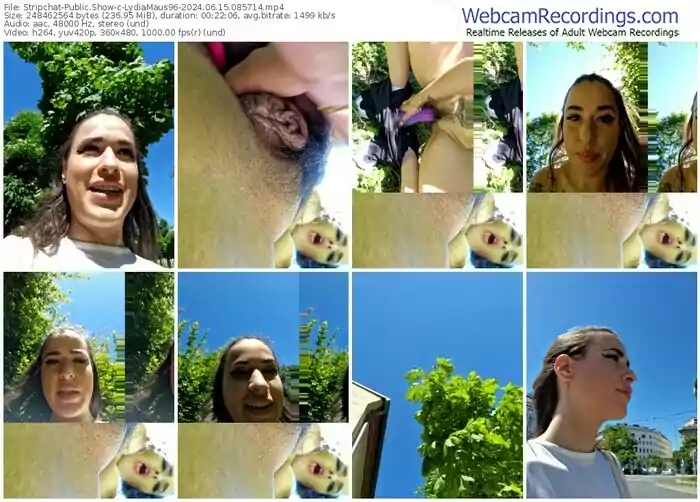 stripchat-lydiamaus96-06-15-2024-08-57-14