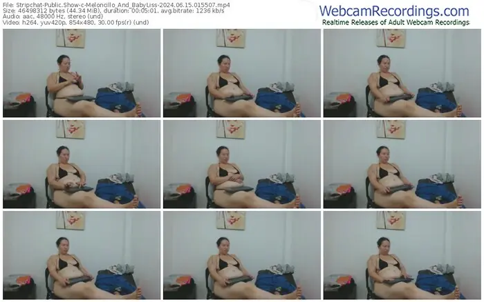 stripchat-meloncillo_and_babyliss-06-15-2024-01-55-07