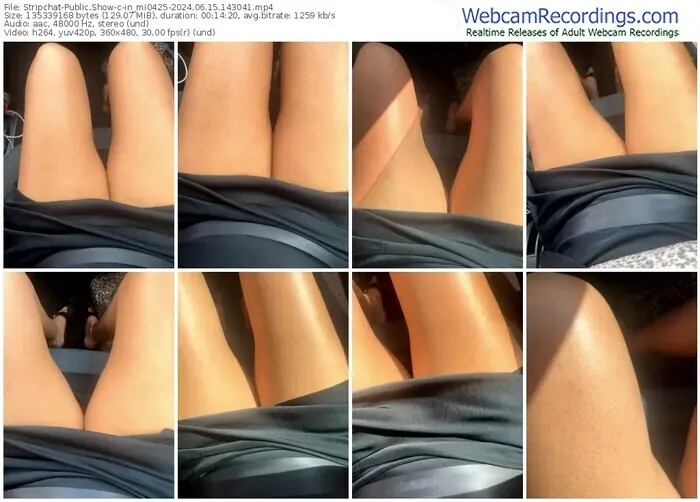 stripchat-in_mi0425-06-15-2024-14-30-41