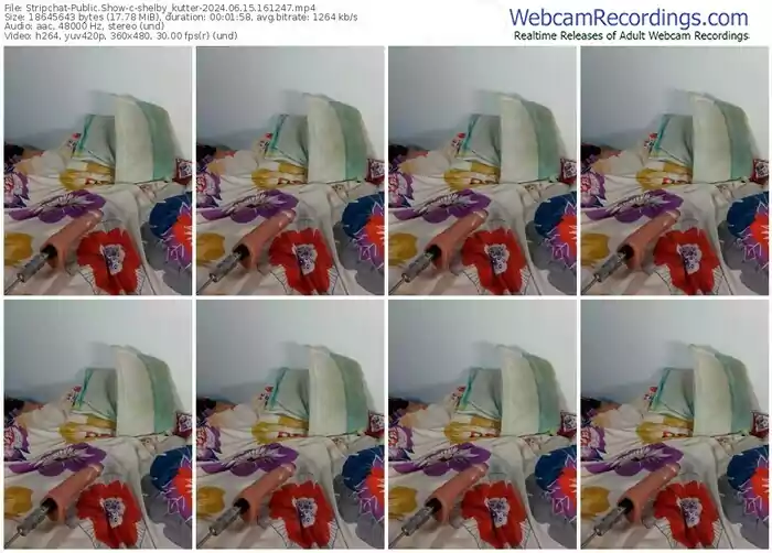 stripchat-shelby_kutter-06-15-2024-16-12-47