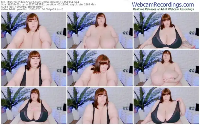 stripchat-biggymelon-06-15-2024-15-43-54