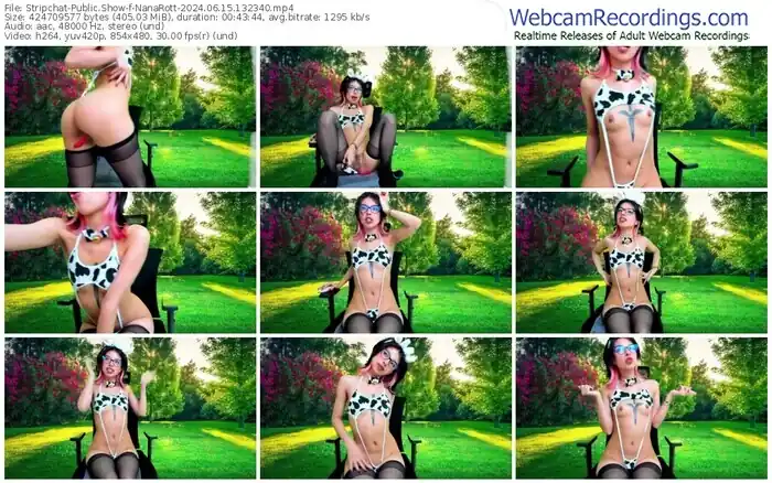 stripchat-nanarott-06-15-2024-13-23-40