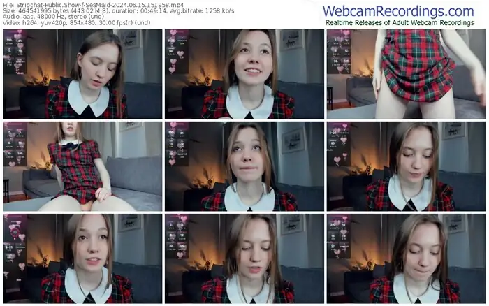 stripchat-seamaid-06-15-2024-15-19-58