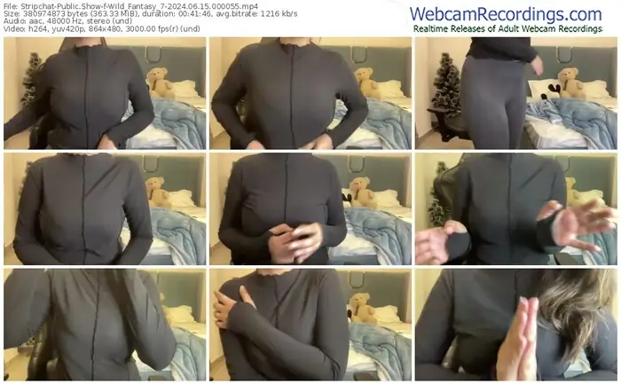 stripchat-wild_fantasy_7-06-15-2024-00-00-55