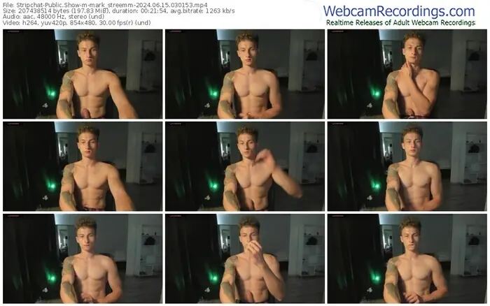 stripchat-mark_streemm-06-15-2024-03-01-53