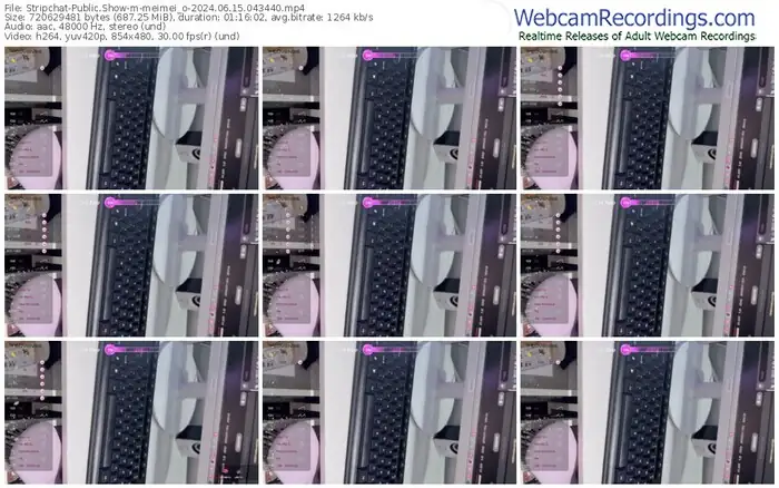 stripchat-meimei_o-06-15-2024-04-34-40