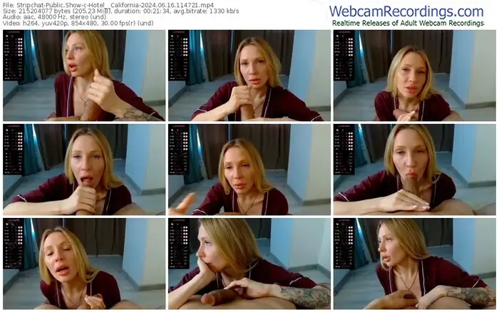 stripchat-hotel__california-06-16-2024-11-47-21