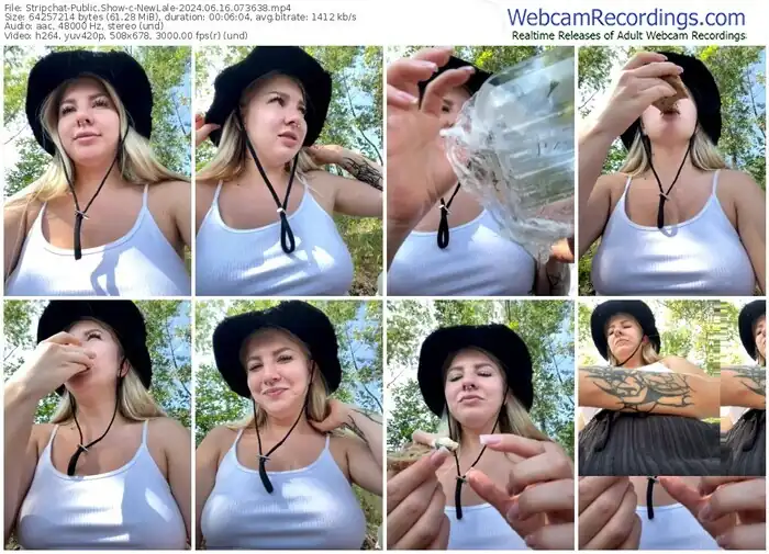 stripchat-newlale-06-16-2024-07-36-38