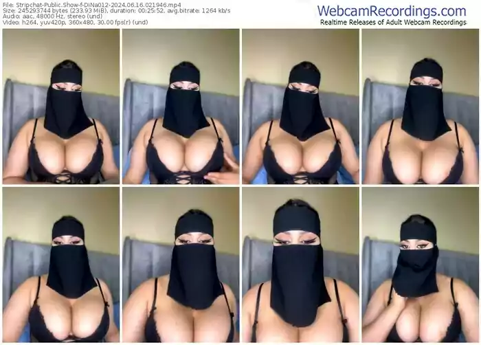 stripchat-dina012-06-16-2024-02-19-46