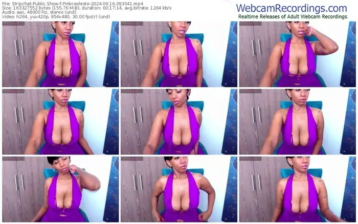 stripchat-pinkceeleste-06-16-2024-09-30-41