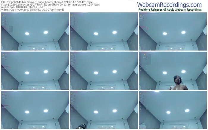 stripchat-_huge_boobs_ebony-06-16-2024-00-14-25