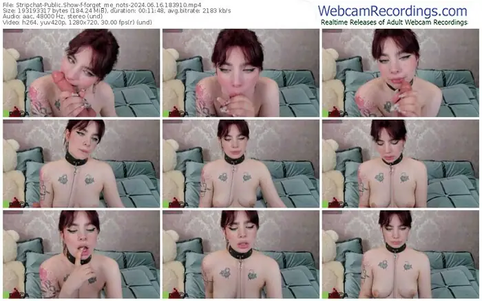 stripchat-forget_me_nots-06-16-2024-18-39-10