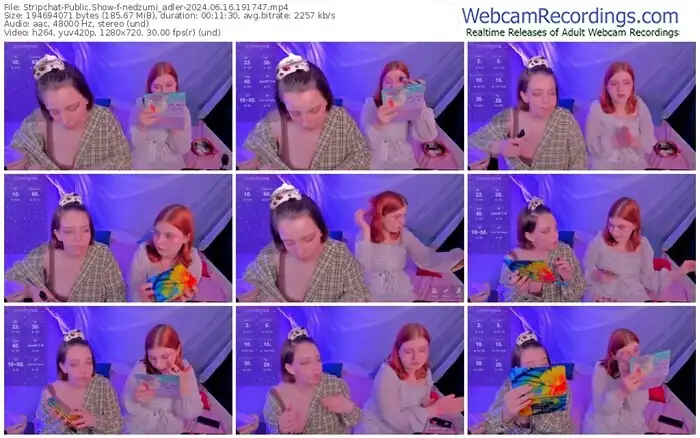 stripchat-nedzumi_adler-06-16-2024-19-17-47