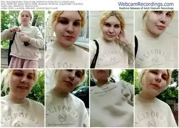 stripchat-real_perfection-06-16-2024-13-03-32