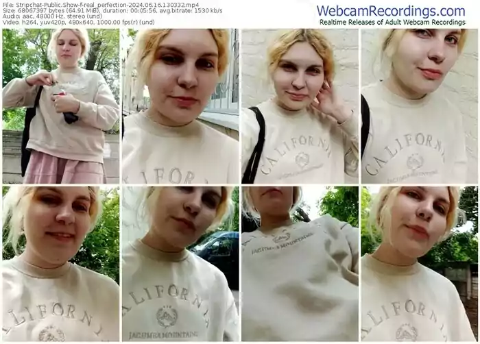 stripchat-real_perfection-06-16-2024-13-03-32