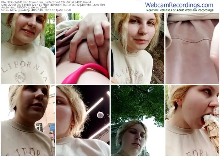 stripchat-real_perfection-06-16-2024-14-28-16