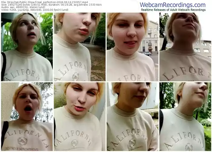 stripchat-real_perfection-06-16-2024-15-03-57